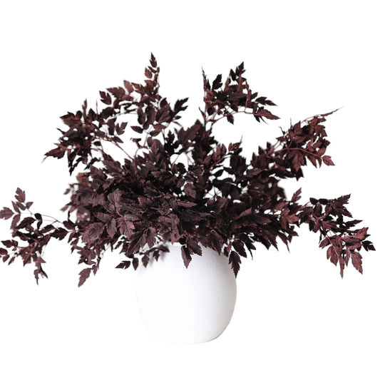 Plum Fake Cimicifuga Ramosa Leaves - 31"