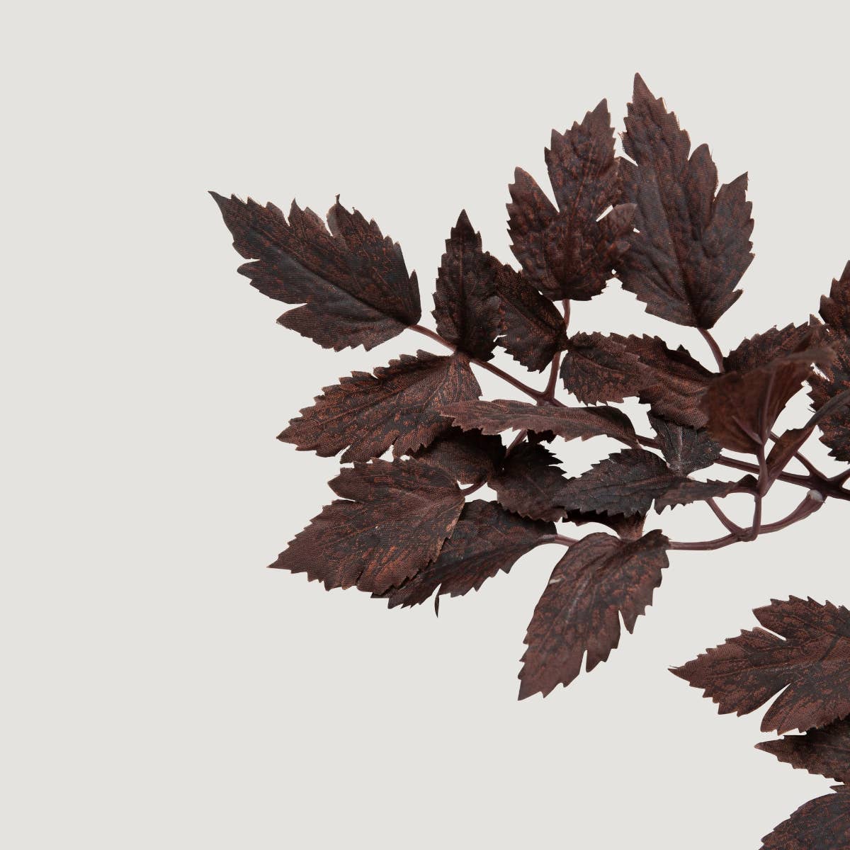 Plum Fake Cimicifuga Ramosa Leaves - 31"