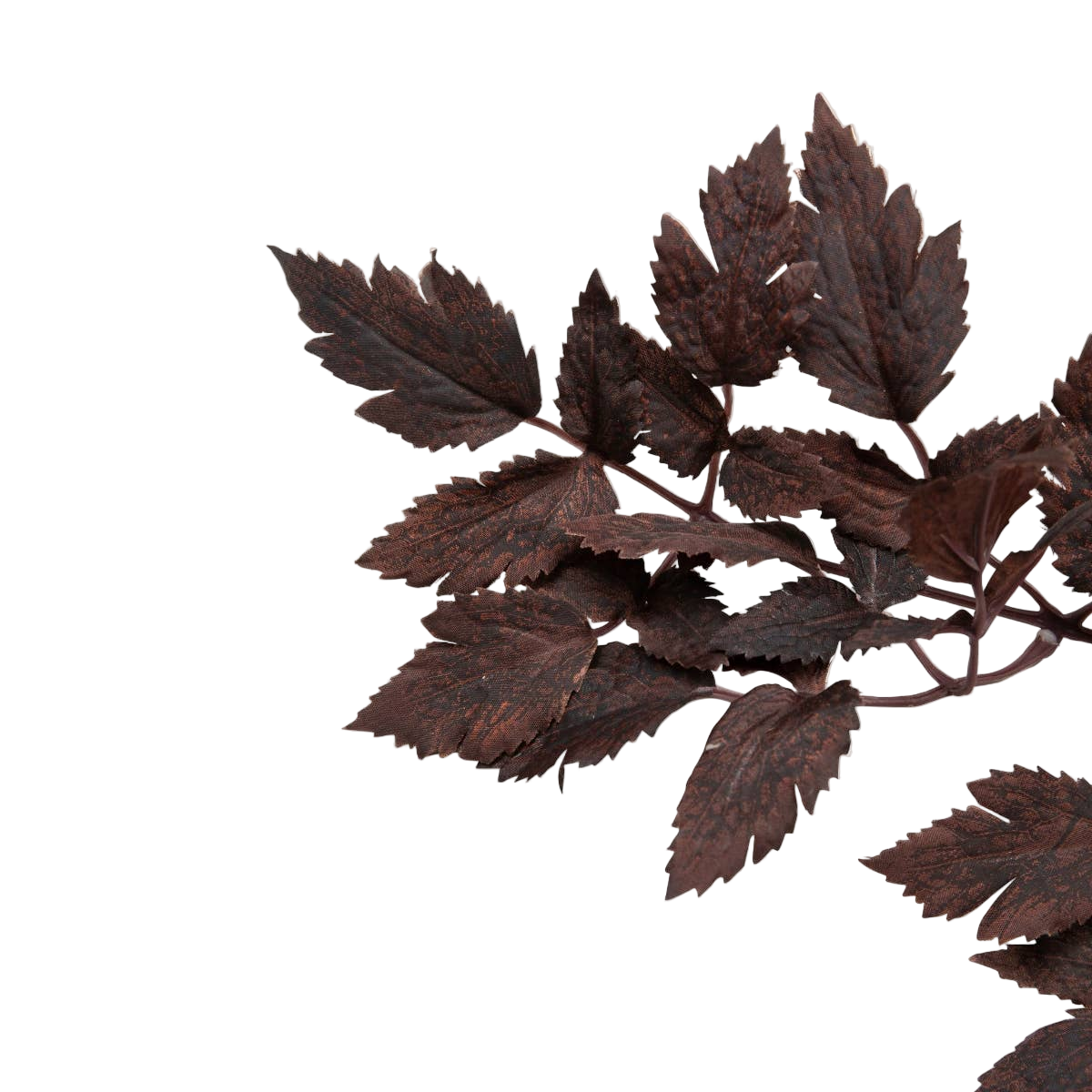 Plum Fake Cimicifuga Ramosa Leaves - 31"