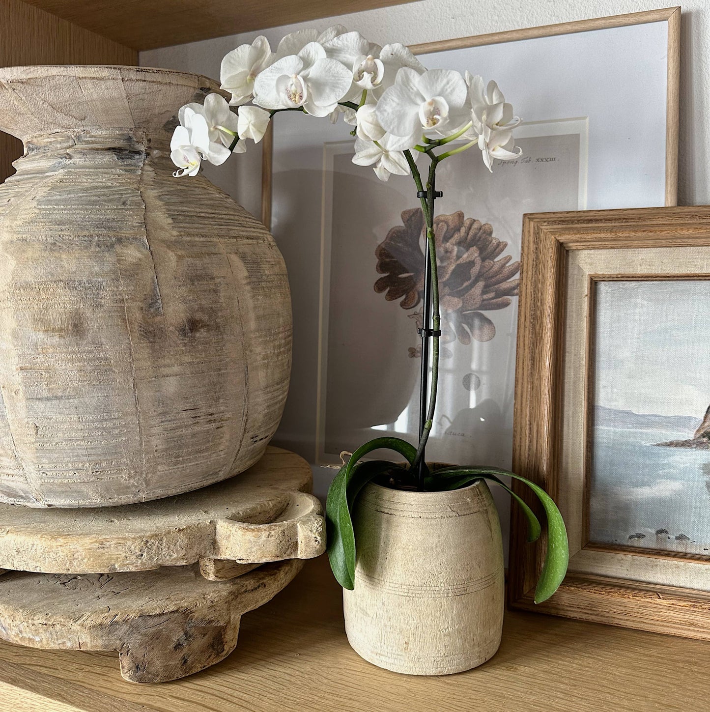 Antique Wooden Honey Pot - Vessel Bleached: Small