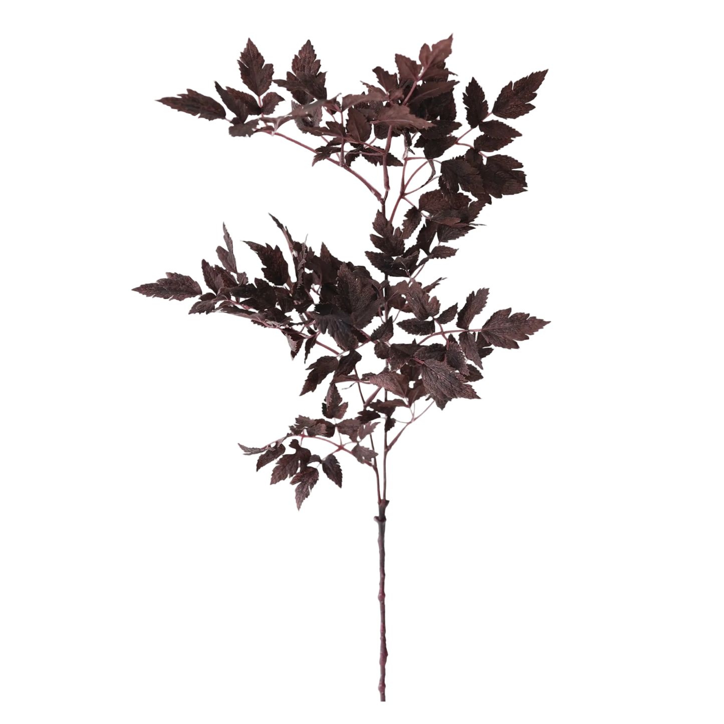 Artificial Plum Cimicifuga Ramosa Leaves