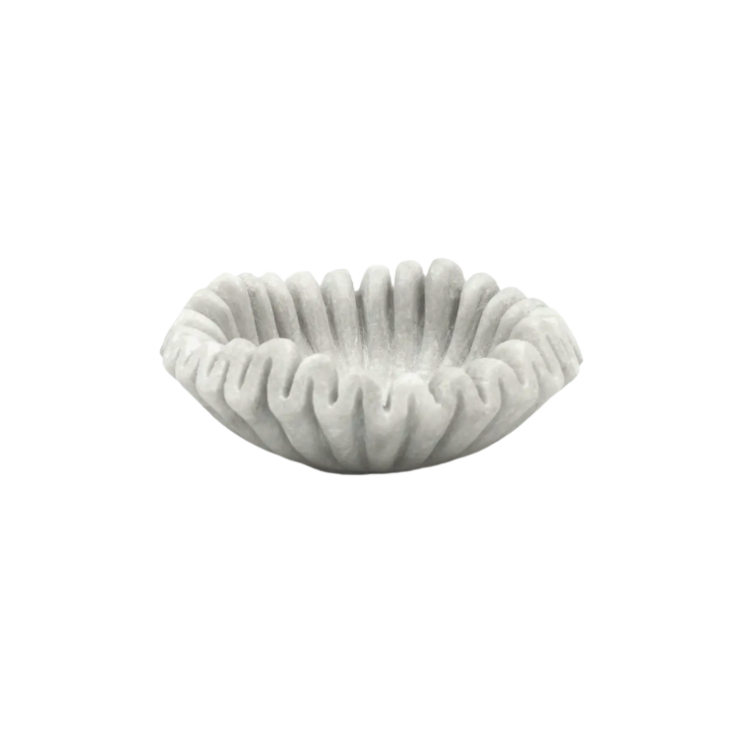 Scallop Bowl