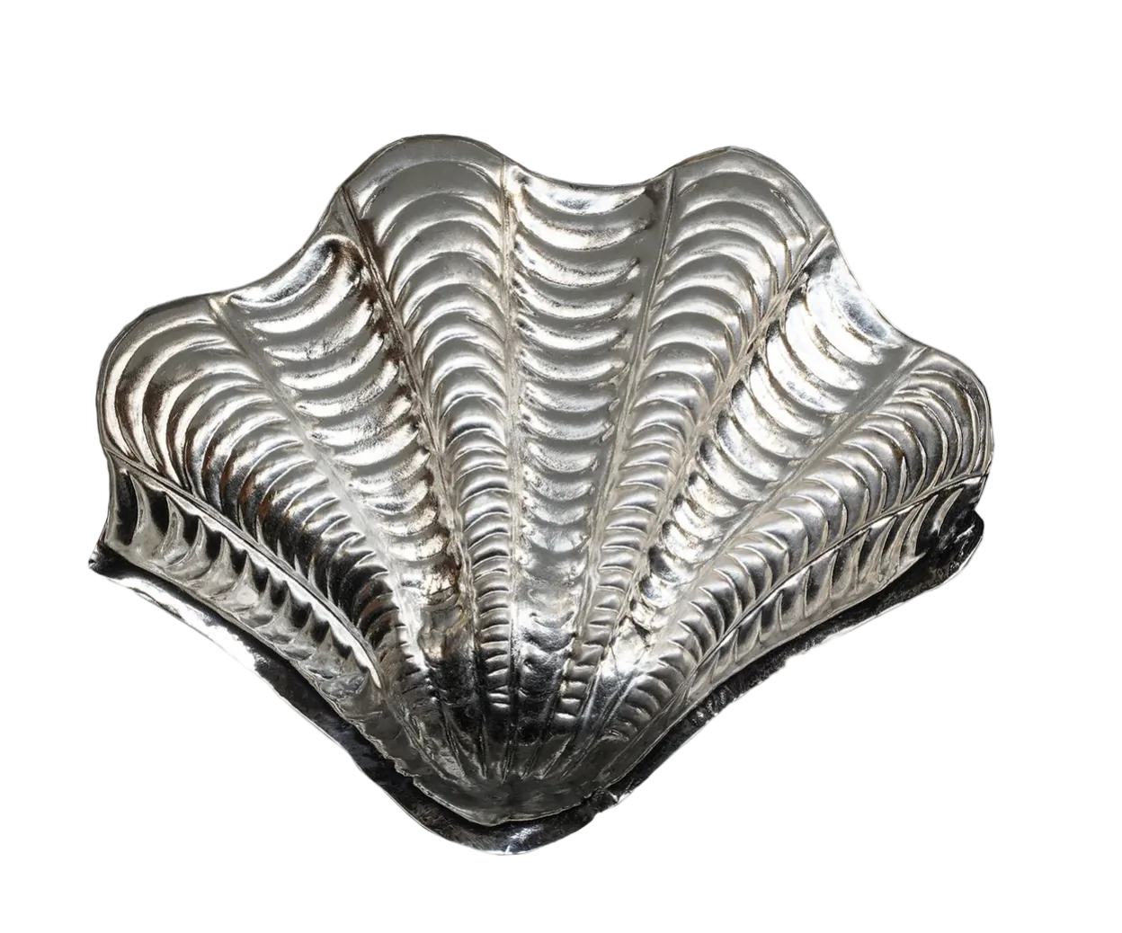 Shell Coin Dish