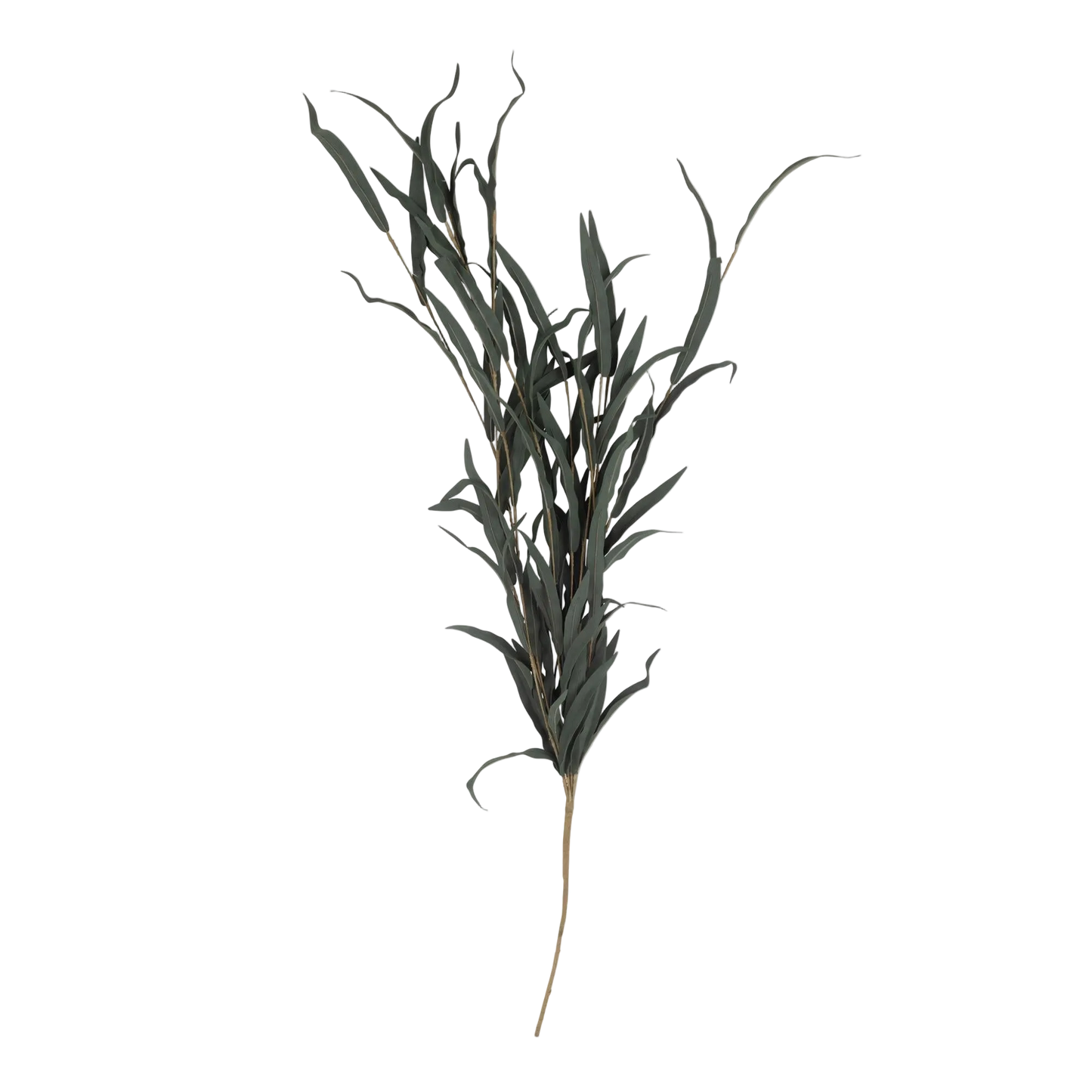 Artificial green leaf branch on a white background
