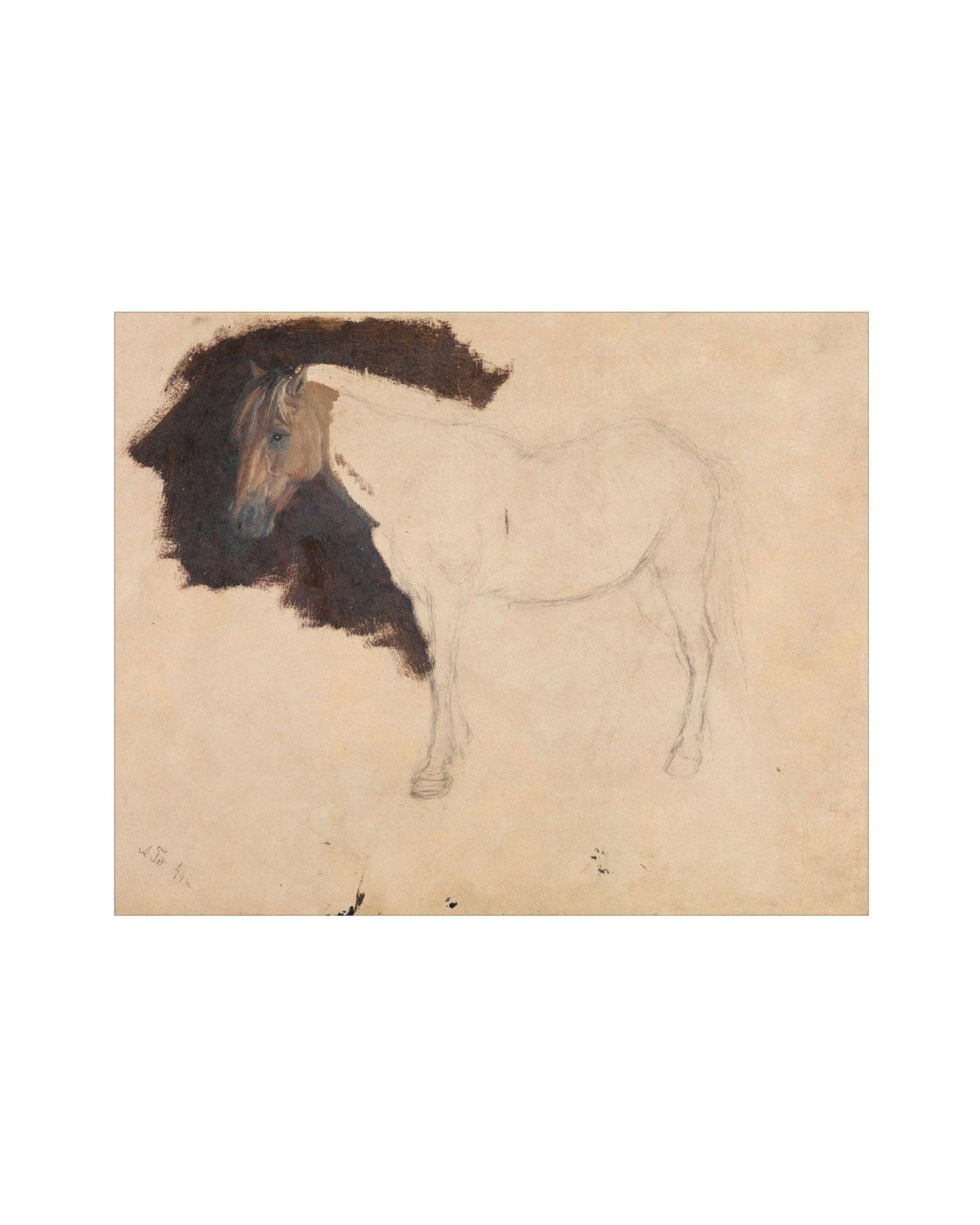 Study of a Horse III Print