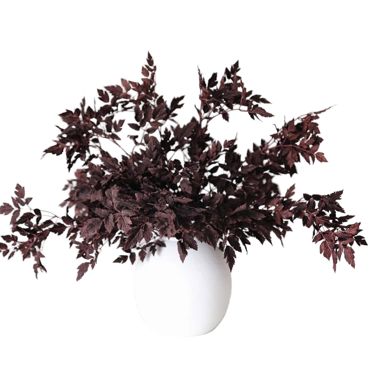 Plum Fake Cimicifuga Ramosa Leaves - 31"