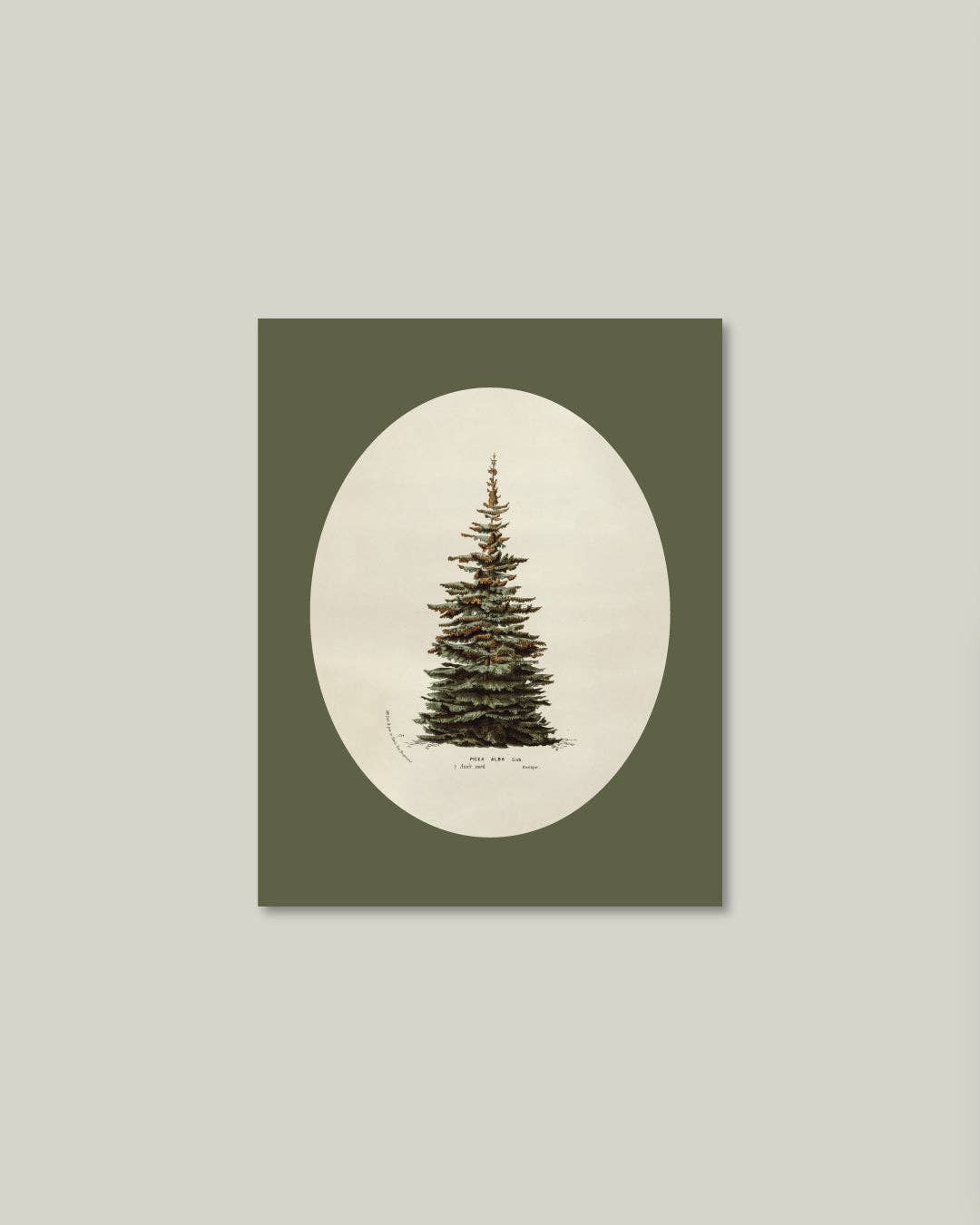 Oval Matte Tree Artist Board