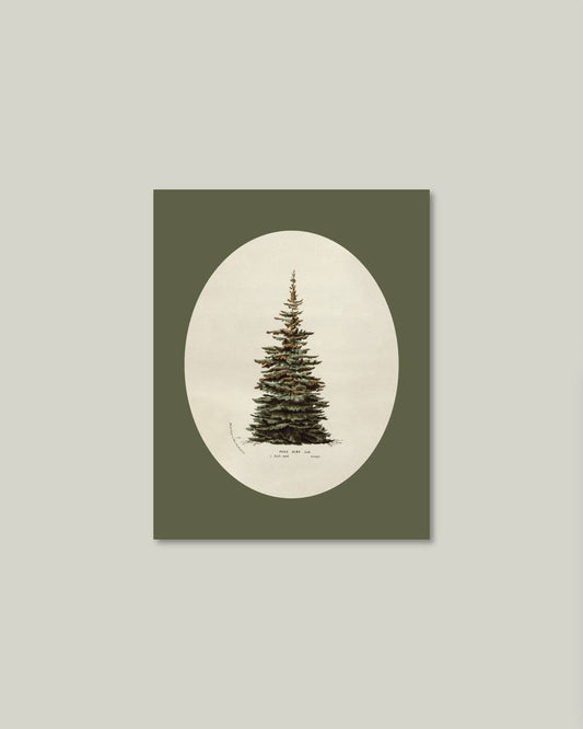 Oval Matte Tree Artist Board