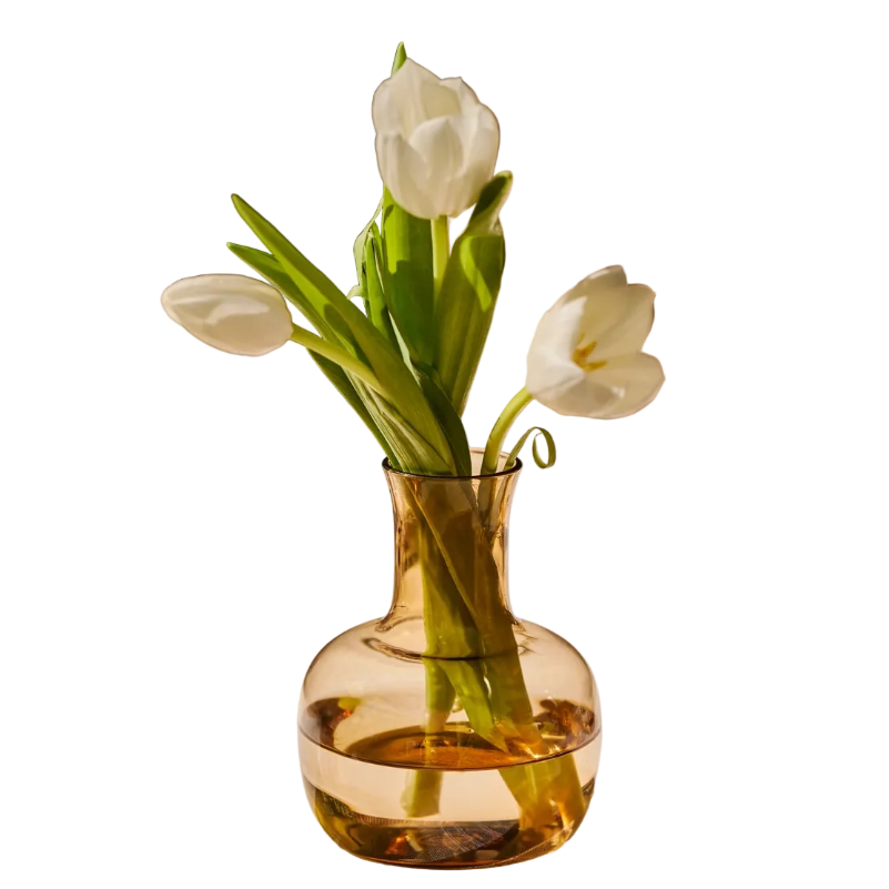 Ember Tumbler + Carafe Set