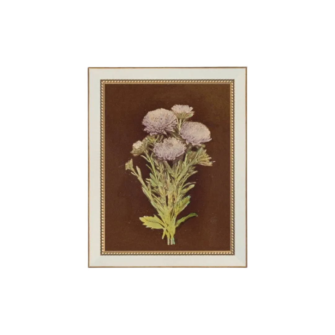 Lilac Dahlia on Brown Framed Antique Art: 7x9