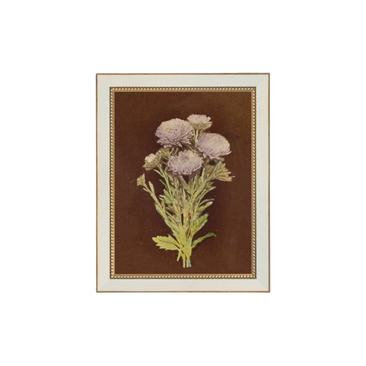 Lilac Dahlia on Brown Framed Antique Art: 7x9