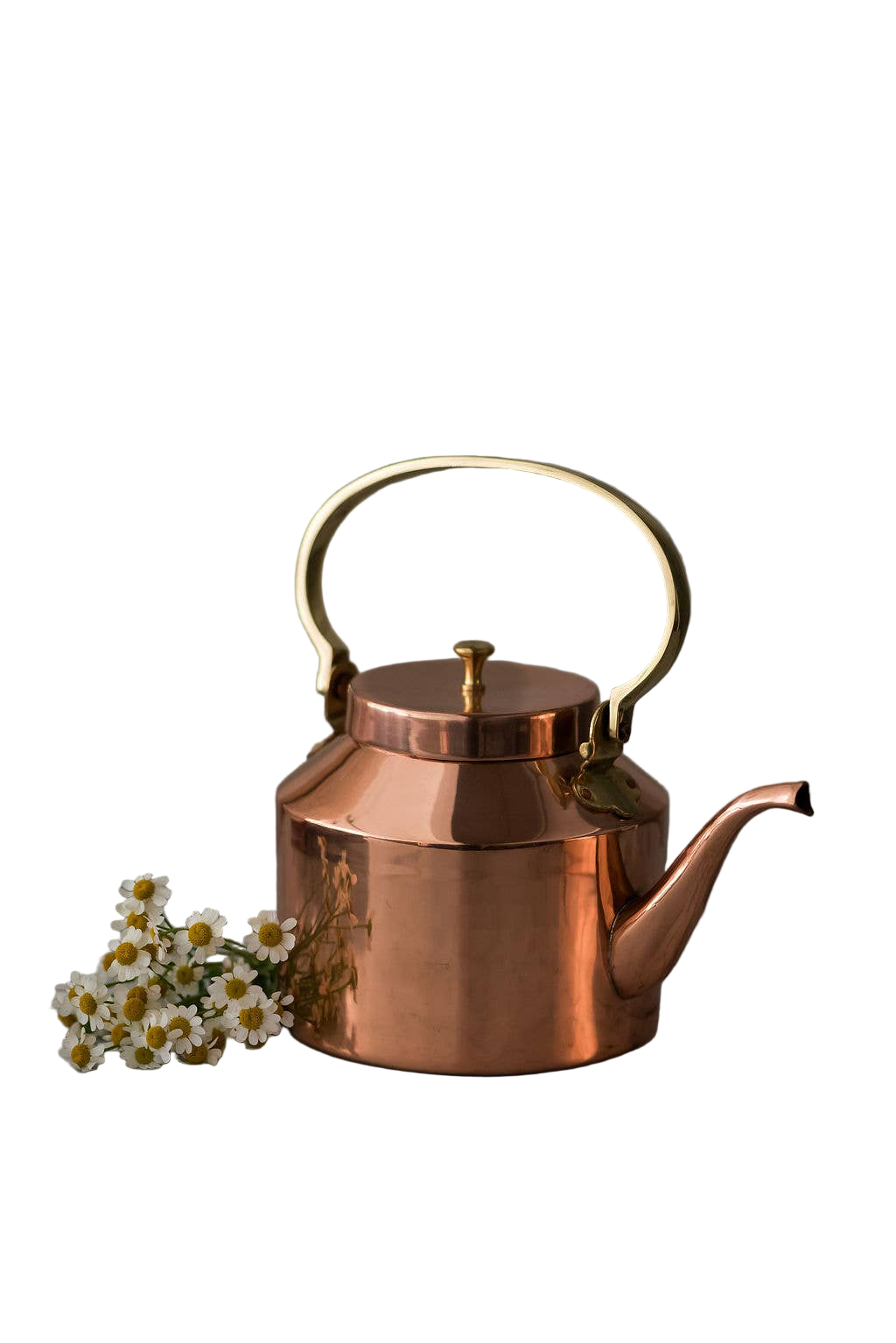 English Copper Tea Kettle