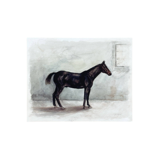 "Chester" Horse | Paper Print
