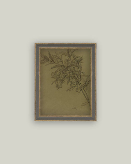 Leaves On Green Framed Antique Art 7x9 Print