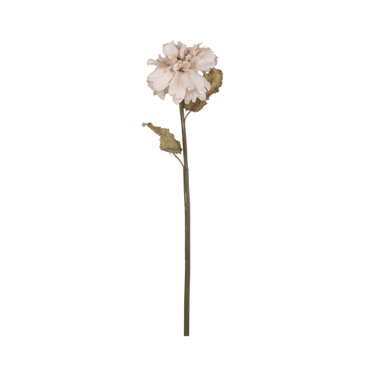 Single white flower on a green stem against a white background