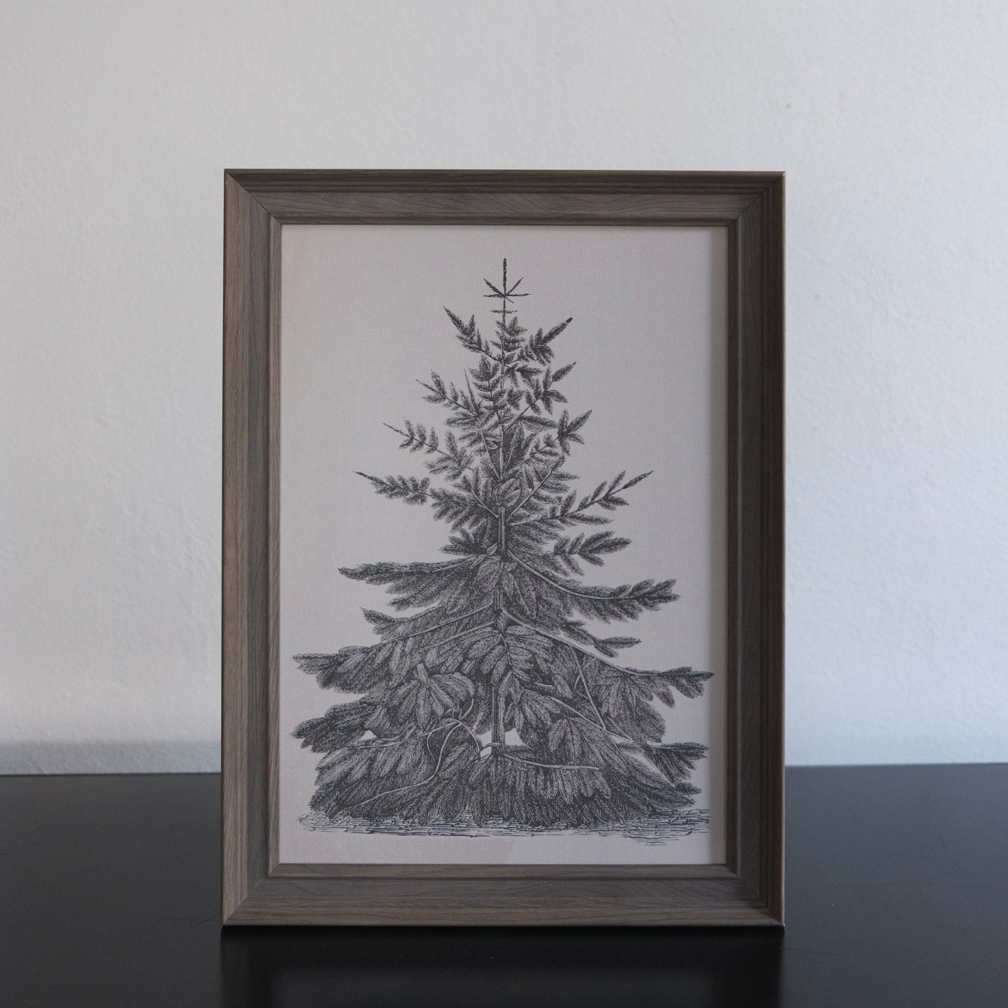 Pine Tree Framed Print