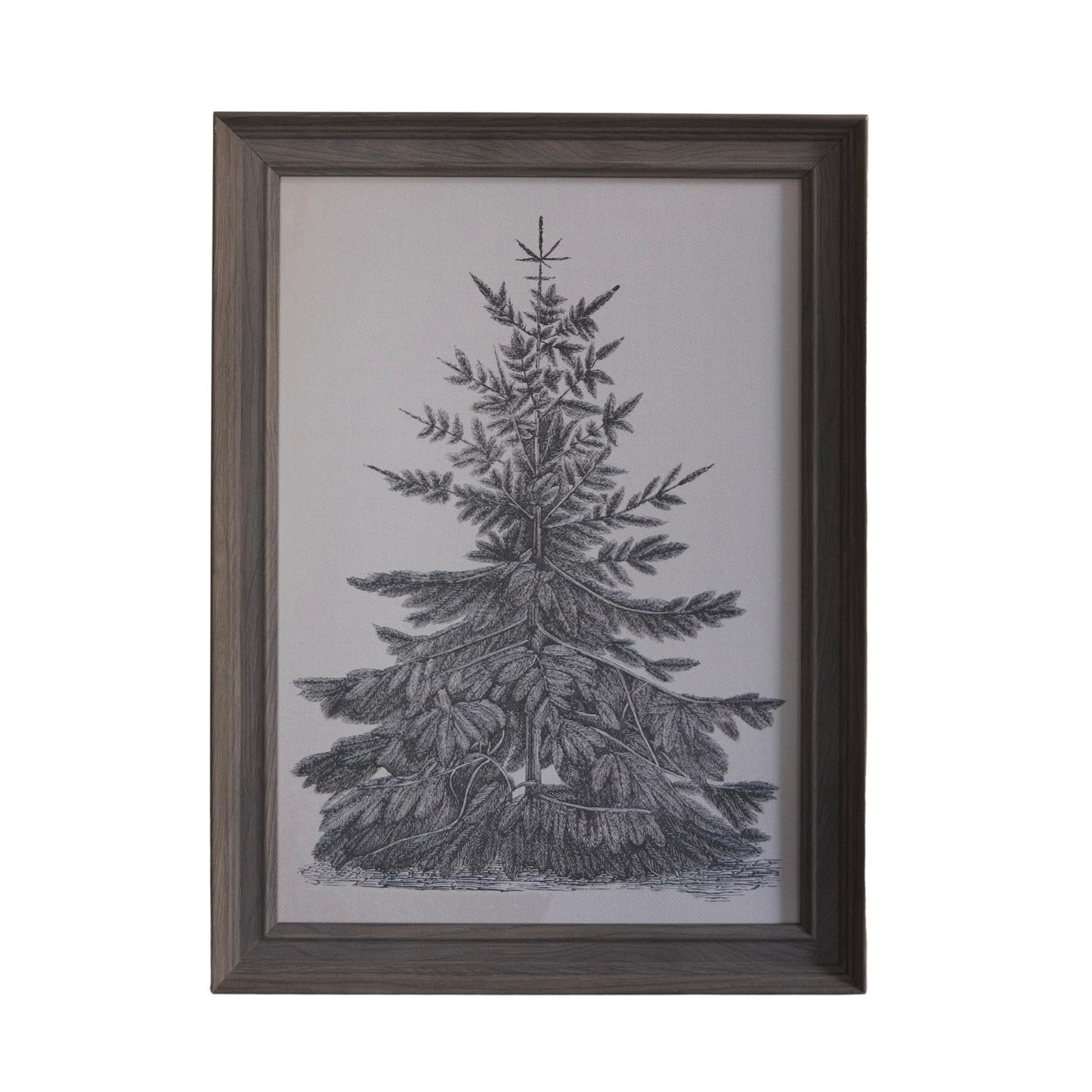 Pine Tree Framed Print