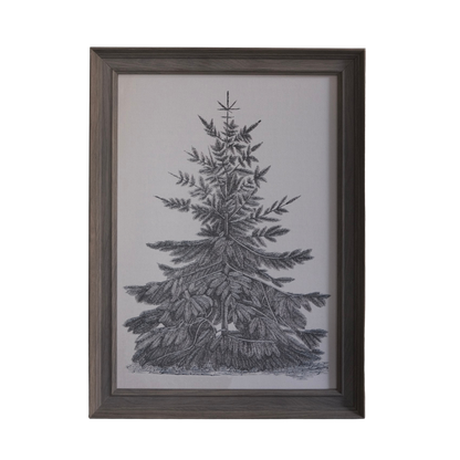 Pine Tree Framed Print