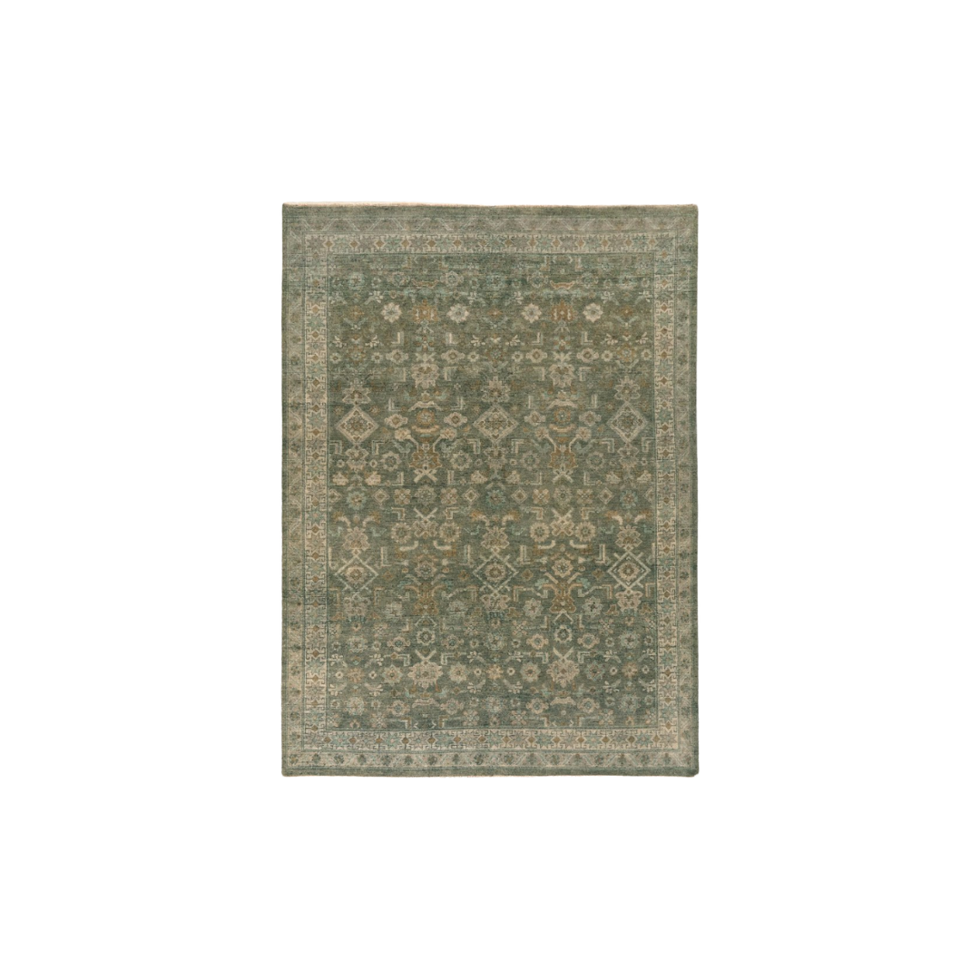 Kenli Hand Knotted Rug