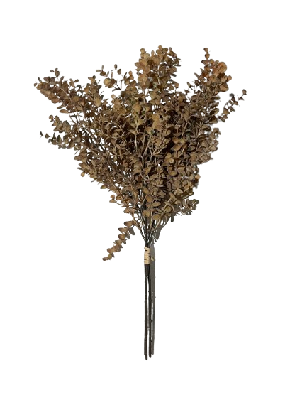 Artificial Eucalyptus Stems