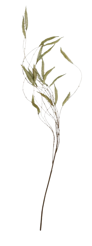 ARTIFICIAL TRAILING CATKIN