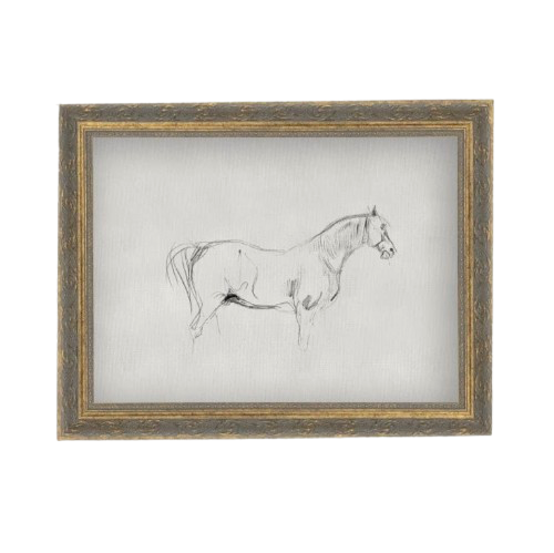 Horse Sketch Framed Print