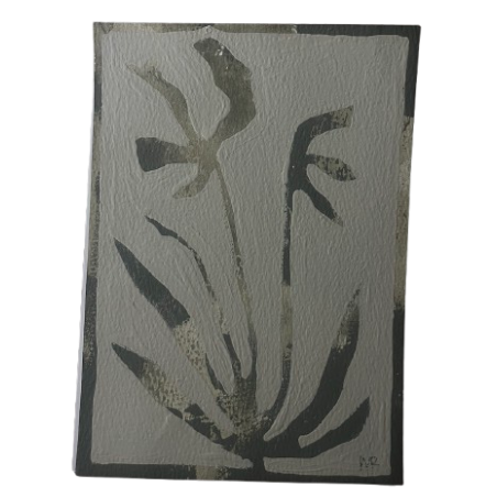 Paper Studies 5 x 7 | Malia Rose