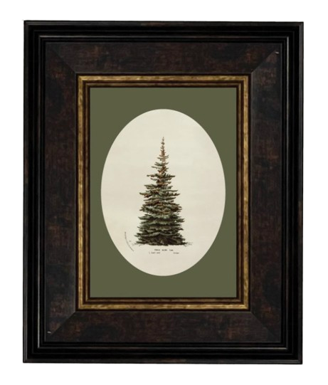 Oval Tree Framed Art | Vintage