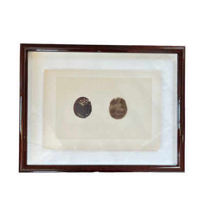 Framed artwork with two circular objects on a white background