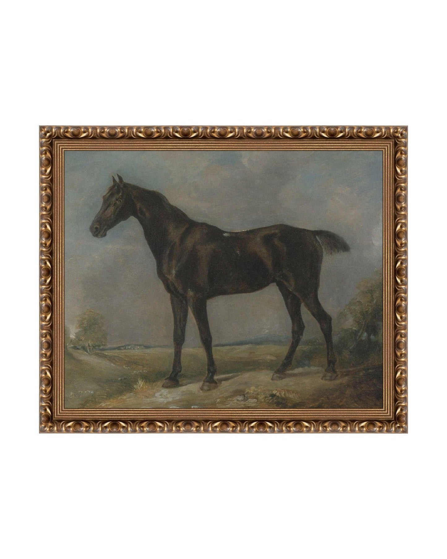 Study of a Horse II Print