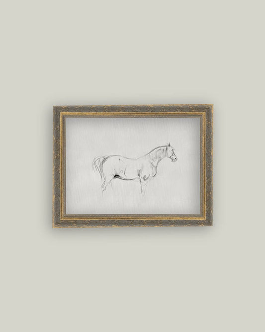 Horse Sketch Framed Antique Art: 16x12