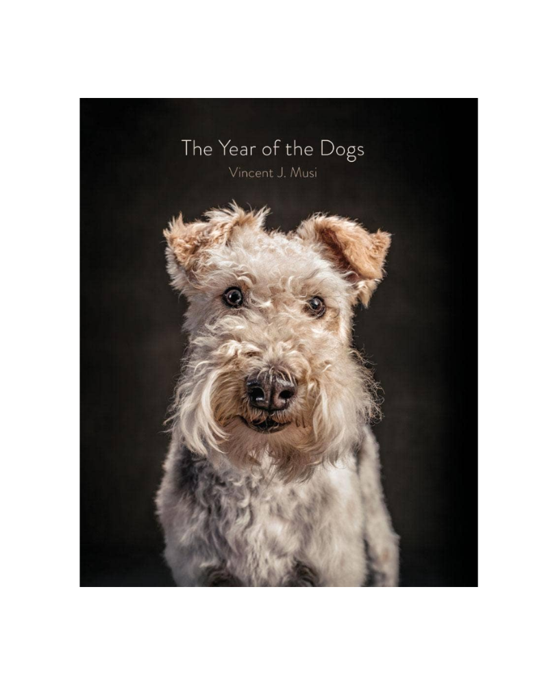 Year of the Dogs