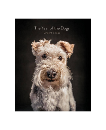 Year of the Dogs