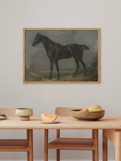 Study of a Horse II Print