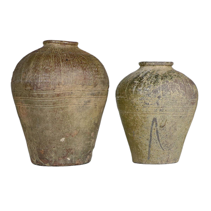 Mijiu Small