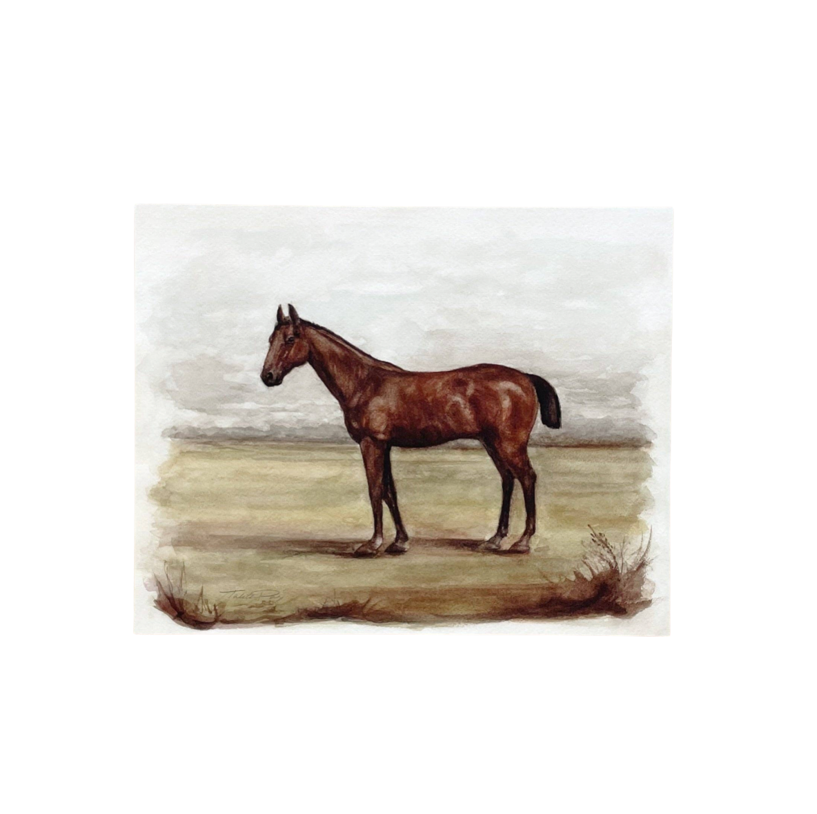 "Charlie" Horse | Paper Print